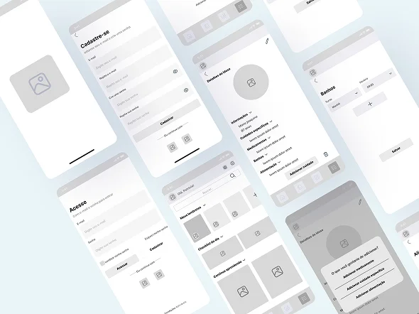 Wireframes and flows
